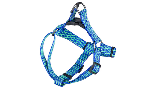 Pet collar and Leash and Harness