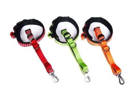 Pet Collar and Leash